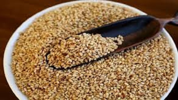 seed export