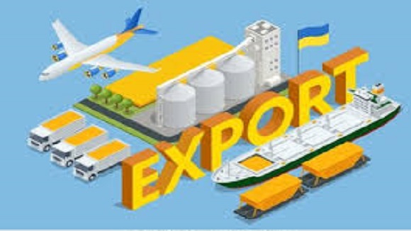Seed export transportation